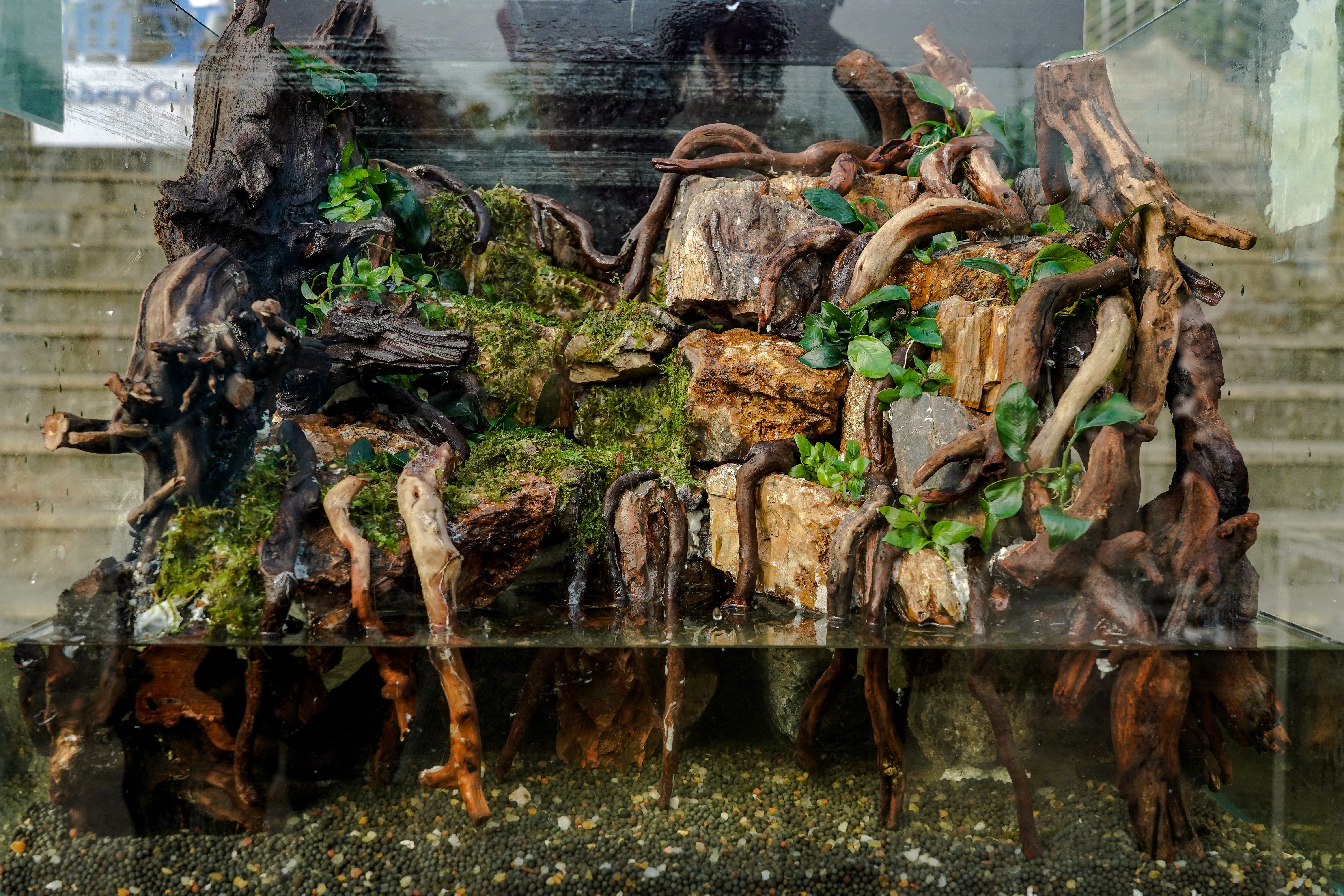 造景作品《崖洞》（91吃瓜网
记者 孙一享 摄）