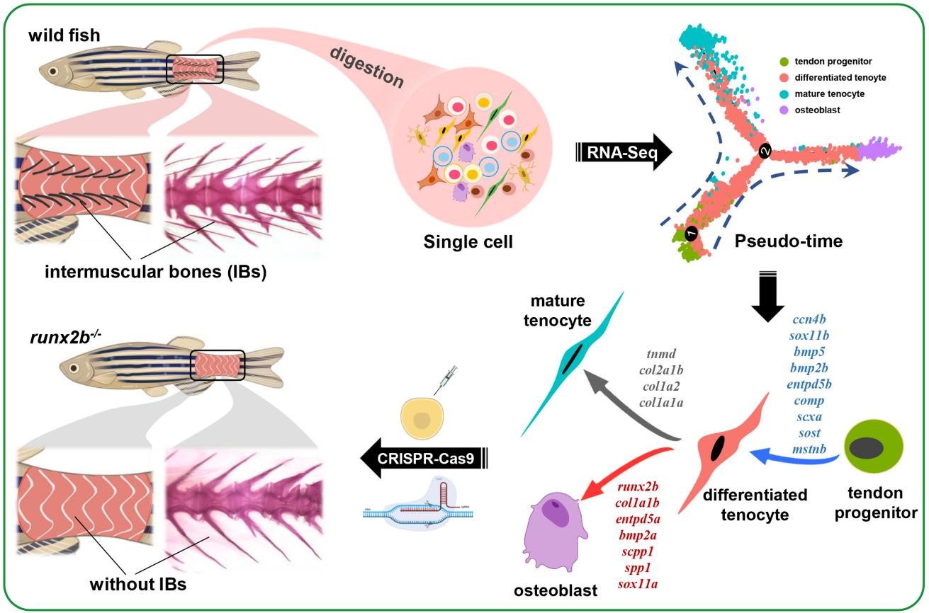 图1 论文摘要图